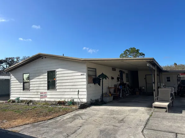 16855 Silver Shores Ln, Odessa, FL 33556