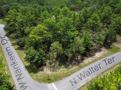 6549 N Walter Ter LOT 25, Dunnellon, FL, 34434