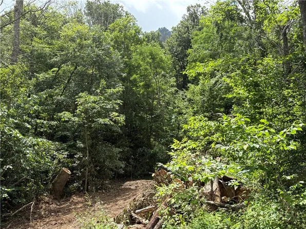 Lot 15 Shanty Springs Road, Banner Elk, NC 28604