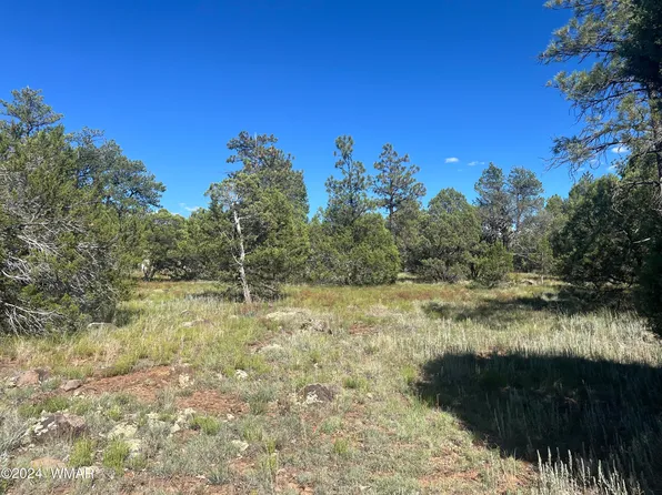 5431 Gray Wolf Dr, Lakeside, AZ 85929