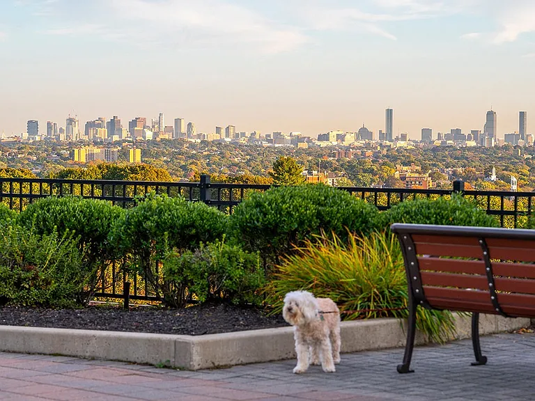 Outdoor Entertainment Areas with Downtown Boston Views