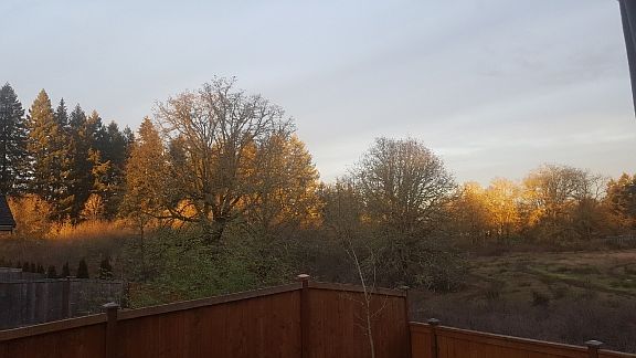 View off the back deck