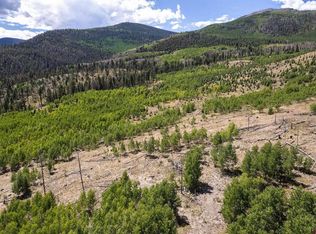 655 Elk Ct, South Fork, CO 81154