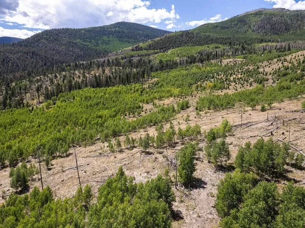 655 Elk Ct, South Fork, CO 81154