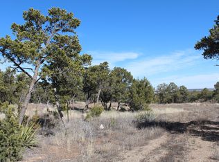 49 Jesse James Rd, Edgewood, NM 87015