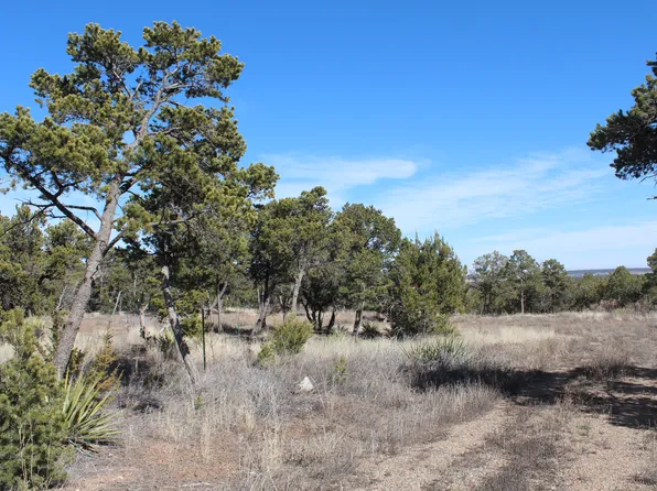 49 Jesse James Rd, Edgewood, NM 87015