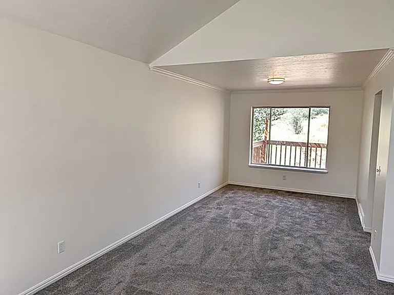 3541 Wagon Wheel Way — Photo 17