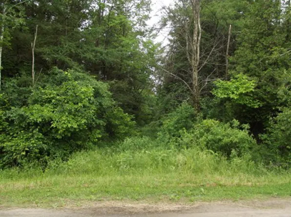 735 W Mahoney Rd, Brasher Falls, NY 13613