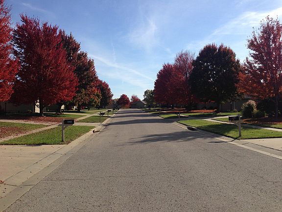 Fall Foliage