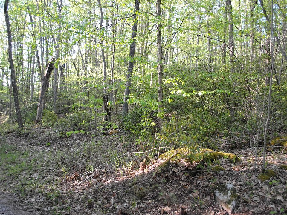 S Teter Creek Rd, Montrose, WV 26283 Zillow