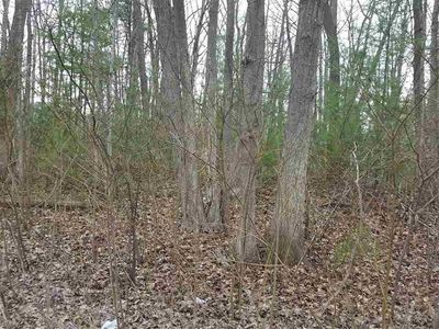 0 Columbine St, East Tawas, MI, 48730