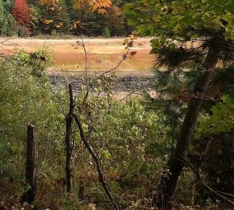 4th image of White Lake Dr