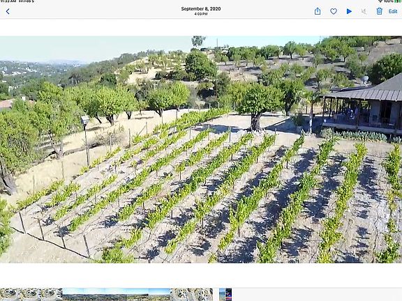 South East view of Cab vines