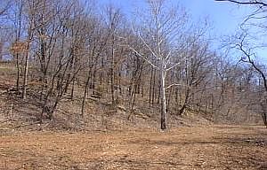 2nd image of Rural Rte