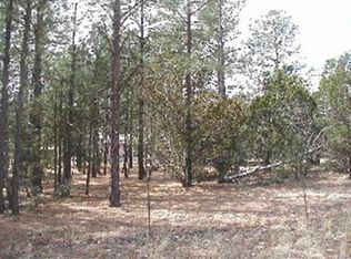 2874 Lazy Bear Trl, Overgaard, AZ 85933