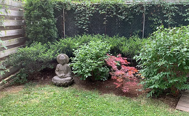 Rented by Nest Seekers International | media 7