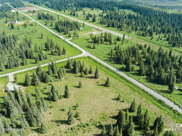 L38 Sonny St, Ninilchik, AK 99639