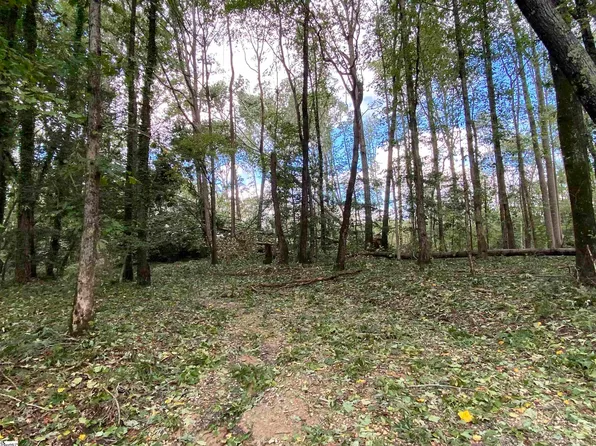 0 Howard Gap Rd, Inman, SC 29349