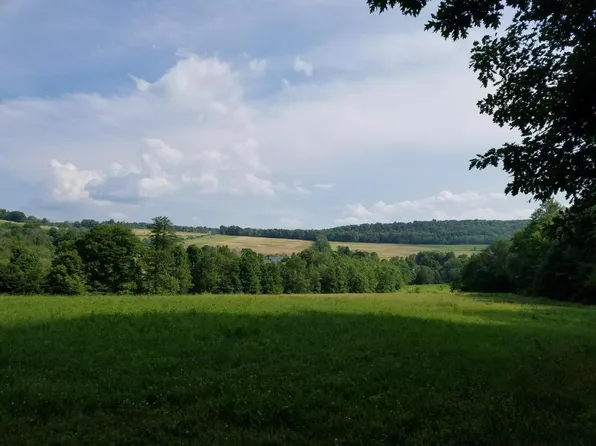 0 Day Hollow Rd #1, Owego, NY 13827