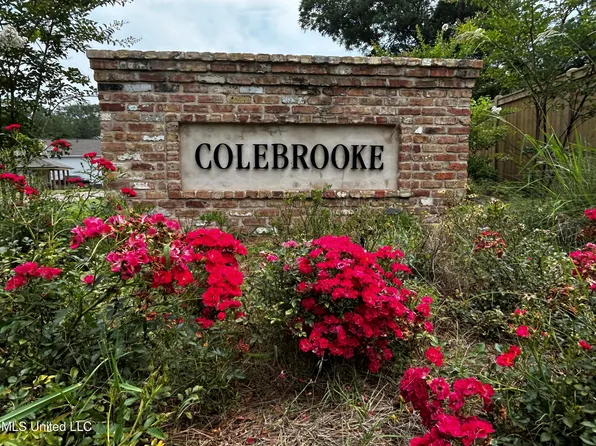 105 Colebrooke Cv Lot 2, Florence, MS 39073