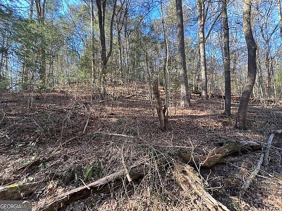 4th image of 0 Old Miller Rock Ln