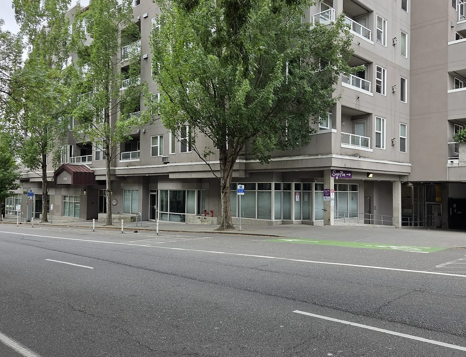 2 bed, 1165 sqft, $2,890 — Photo 3