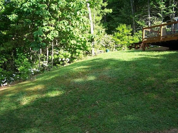1st image of 224 Forest Wood Ln