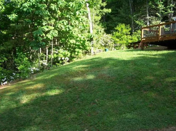 224 Forest Wood Ln, Mountain City, TN 37683