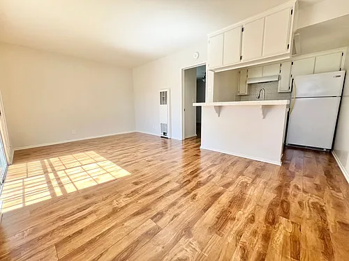 Bright 1BR/1BA First-Floor Apartment with Hardwood Floors Photo 1