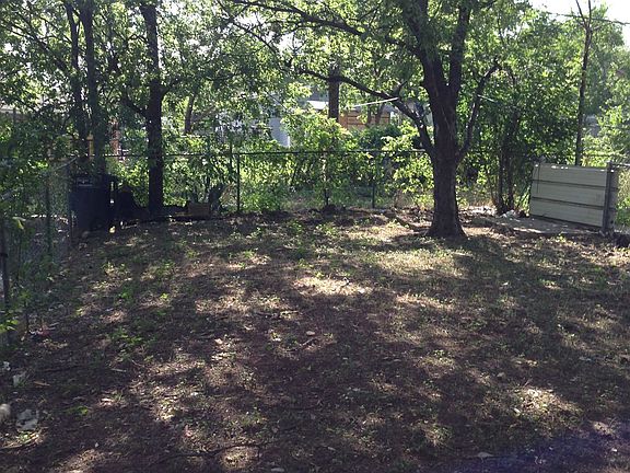 shaded back yard
