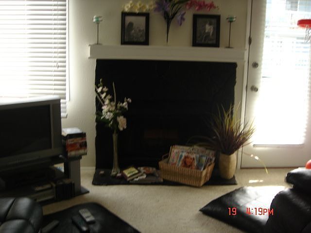 living room by the fire place