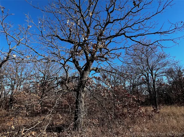 W 155th Rd, Skiatook, OK 74070