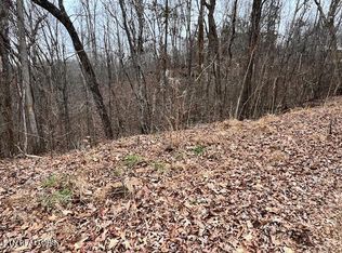 Polly Mountain Rd, Madisonville, TN 37354