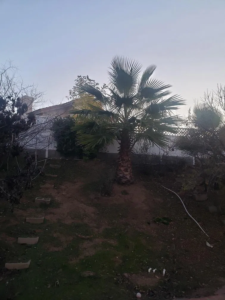 4 bed, 2500 sqft, $3,000 — Photo 2