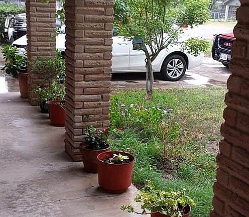Frt sidewalk from door view