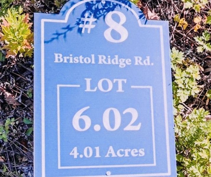 1st image of 8 Bristol Ridge Rd