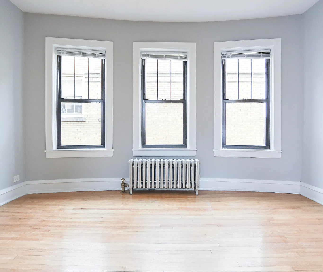 1 bed, $1,550 — Photo 1