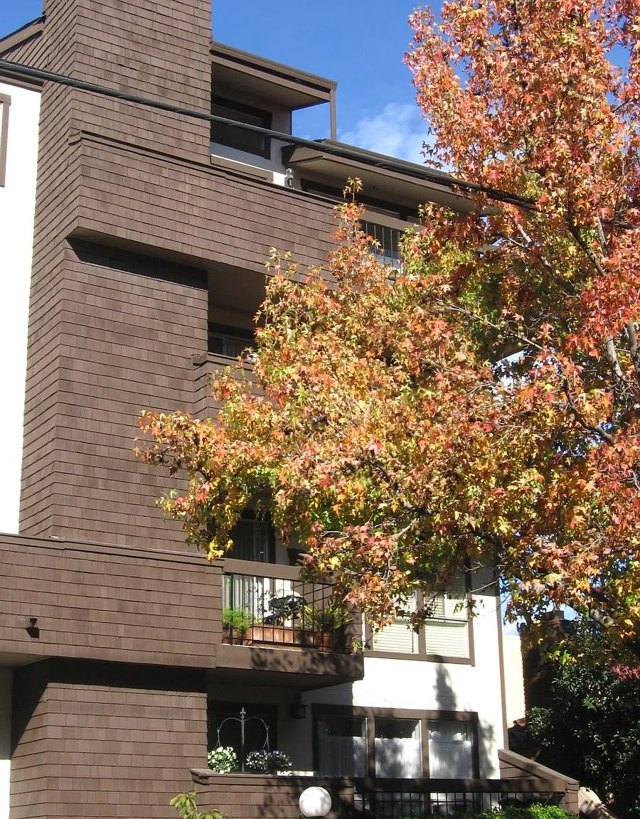 2 bed, 1400 sqft, $2,650 — Photo 2