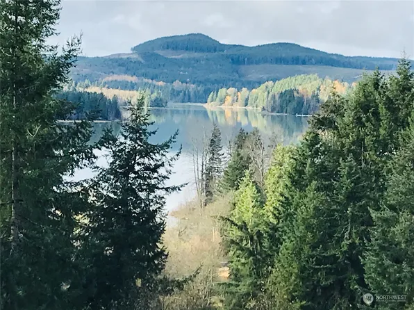 51417 Lillie Dale Road E, Eatonville, WA 98328