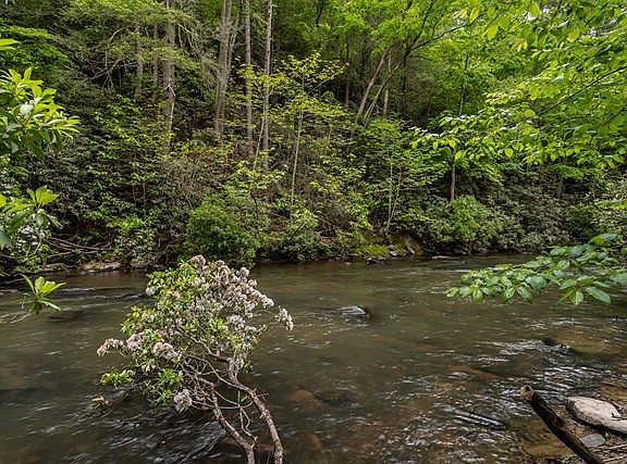 16th image of 61 River Bend Ct