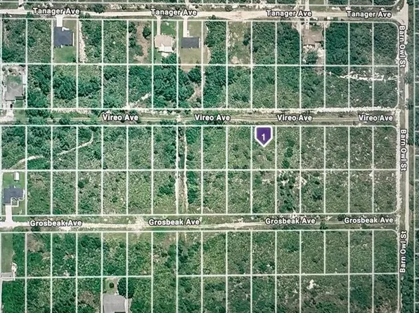 222 VIREO AVENUE LOT 13, SEBRING, FL 33870