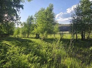 118 Caddis Cir, South Fork, CO 81154