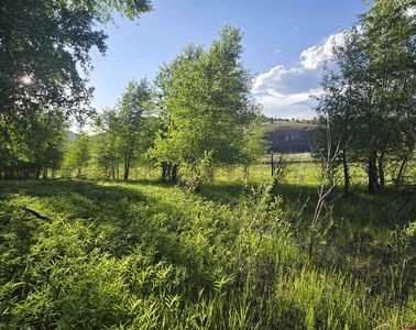 118 Caddis Circle, South Fork, CO, 81154