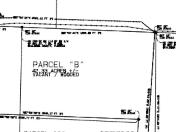 40 Acres N, Laurel Hill, FL 32567