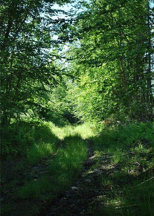 2nd image of 0 Hubbard Road