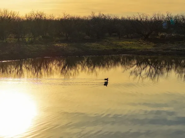 Fm 1853, Moran, TX 76464