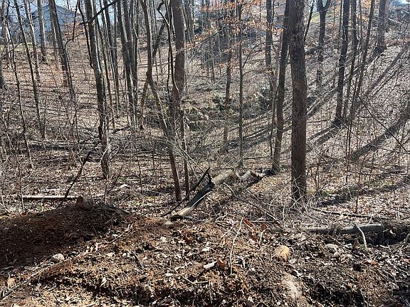 4th image of 0 Saratoga Cir