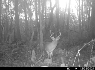 0 SW Wire Rd, Madison, FL 32340