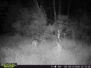 2nd image of N6452 12th Ave