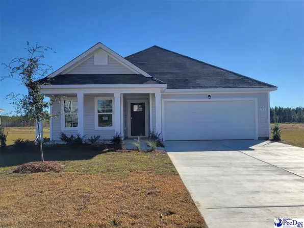 590 Strawberry Field Way, Galivants Ferry, SC 29544